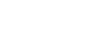 The Special Education Consultant